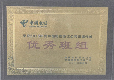 2015年度中國(guó)電信浙江公司無(wú)線代維優(yōu)秀班組